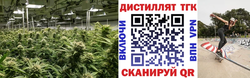 ТГК Wax  Купить где  Невель 