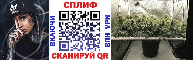 Марихуана ГИДРОПОН  Купить где  Невель 
